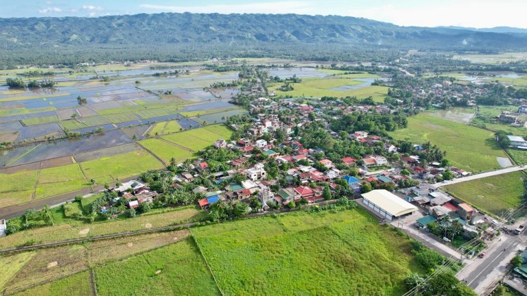 Cara Membuat dan Menggunakan Undangan yang Efektif